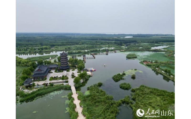 行進中國｜山東東平：湖清岸綠繪新卷